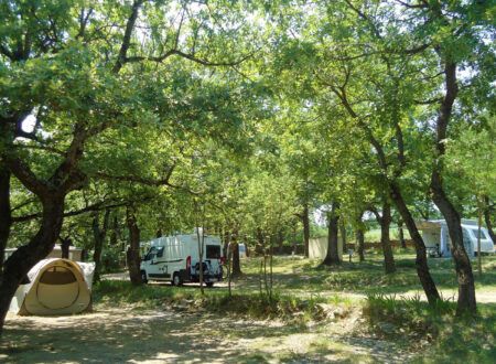 Les emplacements du camping